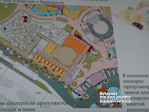 Строительство пермского зоопарка начнется в этом году