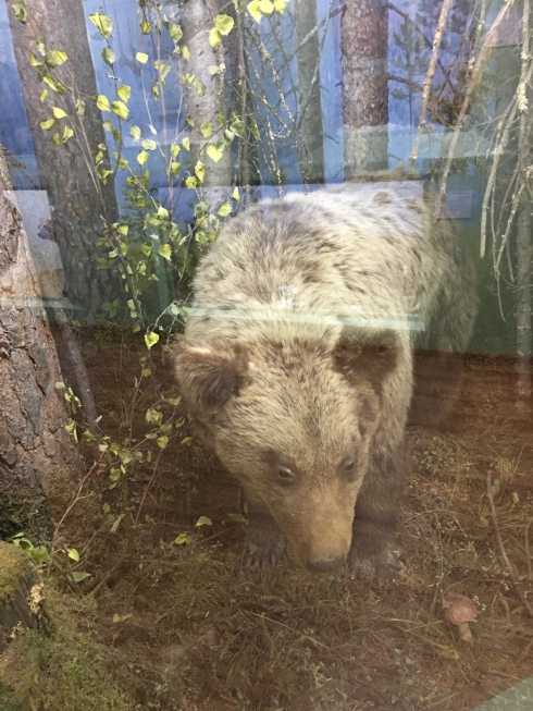 Североуральск: зачем городу музей?