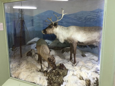 Североуральск: зачем городу музей?