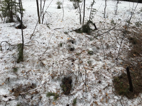 Легенды уральских городов. Марьин утёс