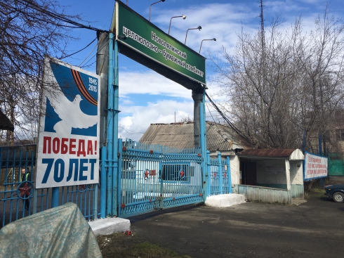 Как получить целлюлозу и бумагу без леса?