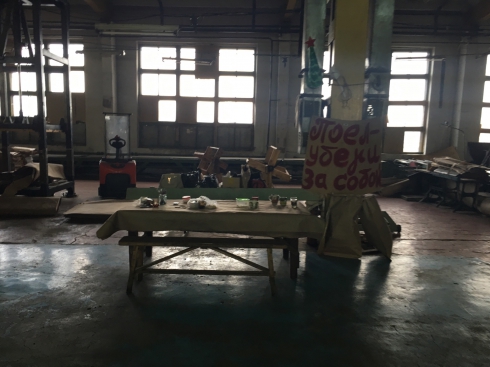 Как получить целлюлозу и бумагу без леса?