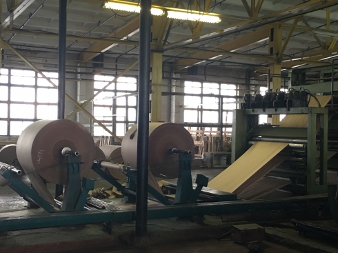 Как получить целлюлозу и бумагу без леса?