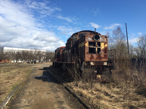 Как получить целлюлозу и бумагу без леса?