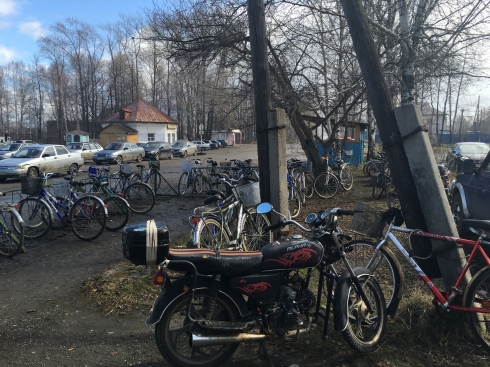 Как получить целлюлозу и бумагу без леса?