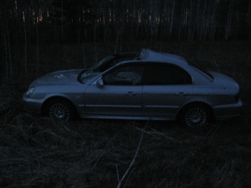 Водитель Hyundai Sonata получил травмы в столкновении с лосем (фото)