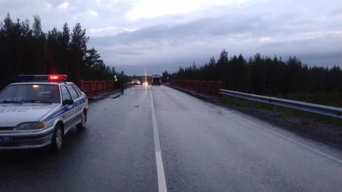 Крупное ЧП под Режом: грузовик слетел с моста на железную дорогу (ФОТО)