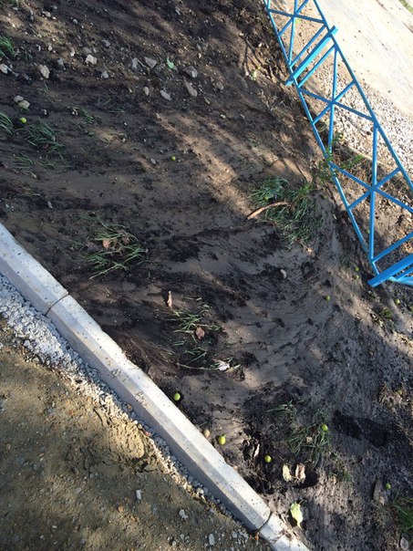 «Это нормально». В Екатеринбурге из-под земли забили гейзеры (ФОТО)