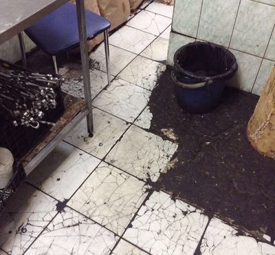 В Екатеринбурге на три месяца закрыли кафе из-за жуткой антисанитарии