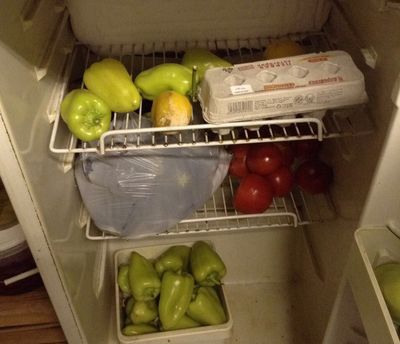 В Екатеринбурге на три месяца закрыли кафе из-за жуткой антисанитарии