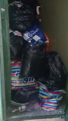 В Екатеринбурге выселили женщину, захламившую квартиру мусором с помоек