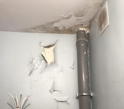 Квартиры переселенцев из аварийного жилья в Верхотурье атаковали насекомые