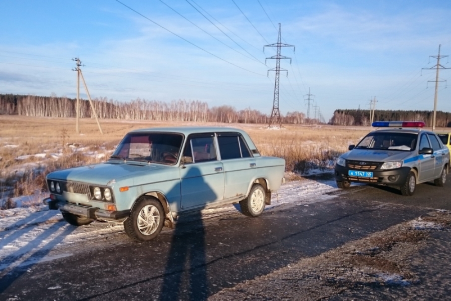 В Курганской области полицейскими изъята крупная партия наркотиков растительного происхождения