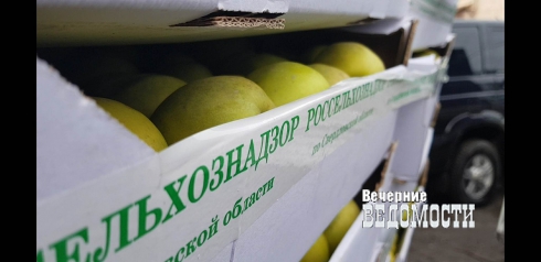 В Екатеринбурге обнаружили 600 килограмм «контрабандных» яблок