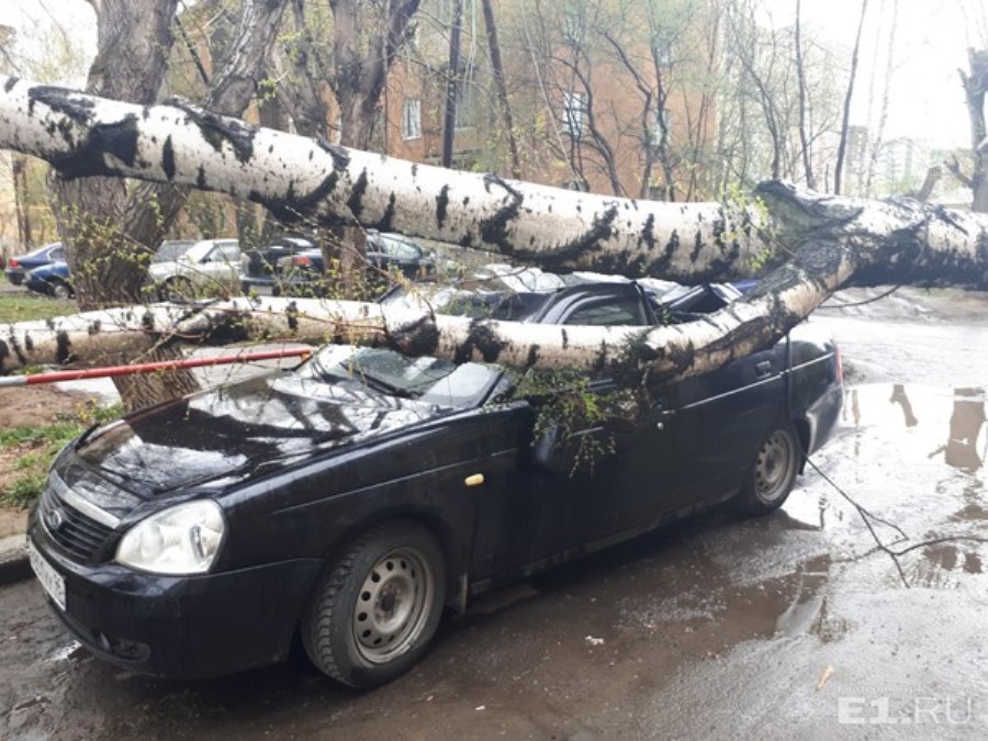 Прошла первая майская гроза и оставила за собой упавшие деревья и столбы, сорванные крыши и разбитые автомобили