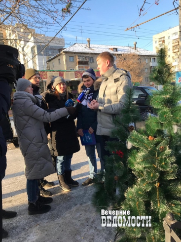 Елочные базары в Екатеринбурге не прошли проверку общественников