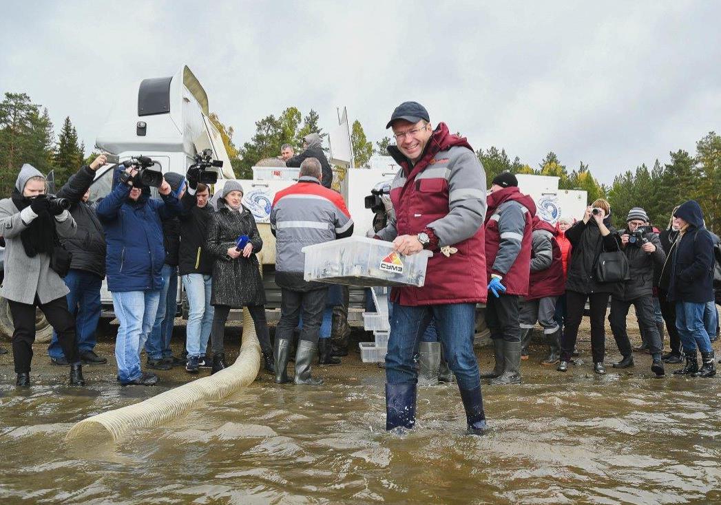 На десять тысяч толстолобиков пополнилось Новомариинское водохранилище в Ревде