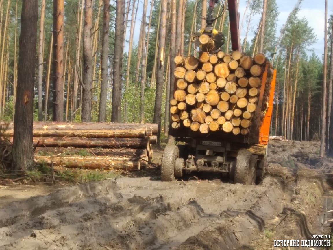 Уральская резня бензопилой