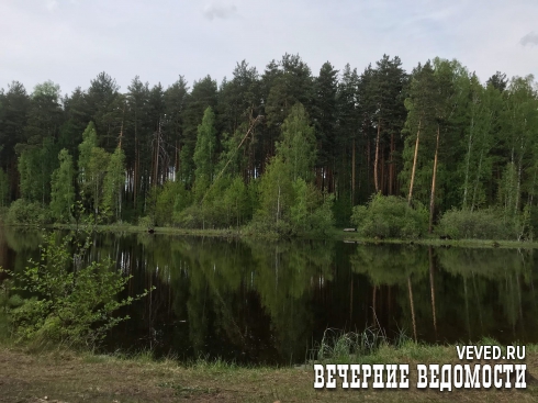 Лесные пожары, засуха и природные катаклизмы