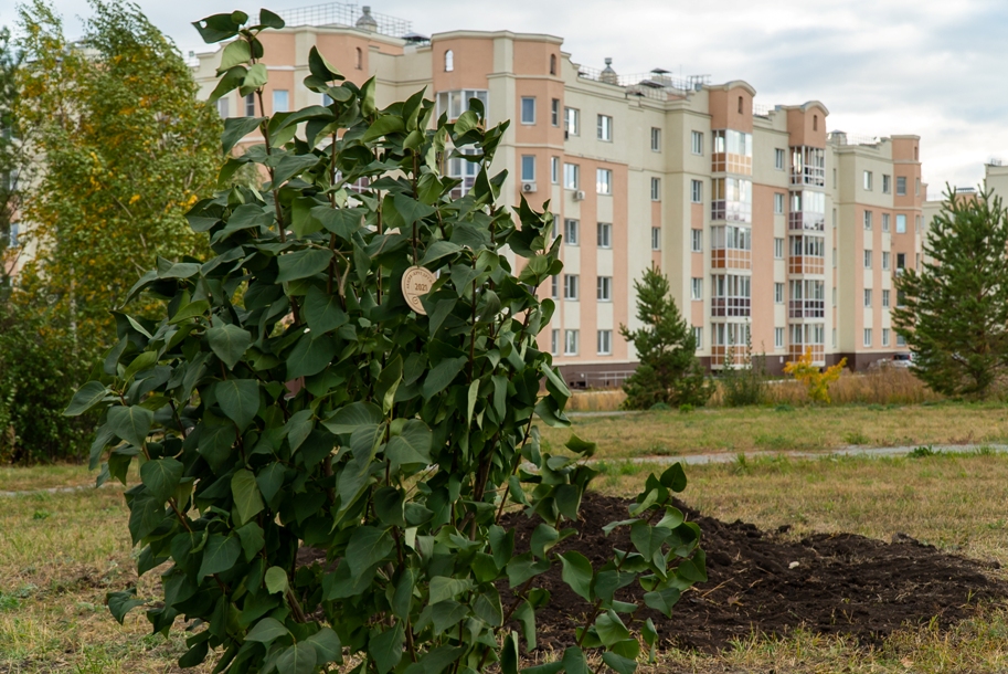 Загородный квартал «Белый хутор» украсили сиренью