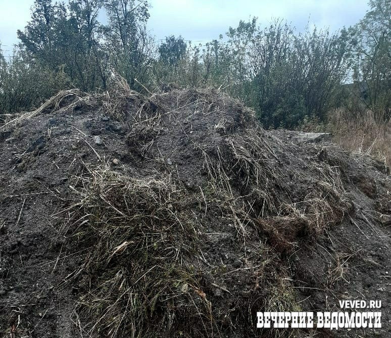 На жительницу Таватуя, пожаловавшуюся Путину на проблемы села, написали заявление за клевету