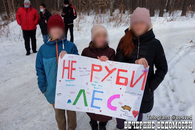 На Широкой Речке в Екатеринбурге жители садов выступают против вырубки леса