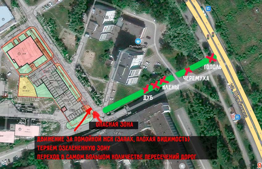 Иллюстрация: Наталья Прокудович