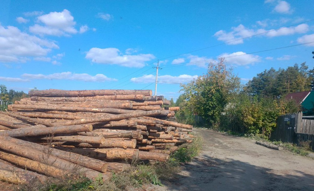 В Екатеринбурге чиновники не могут определиться, давали ли они разрешение на вырубку деревьев